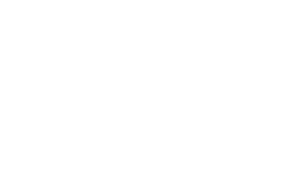 Tribe Mini _ Logo